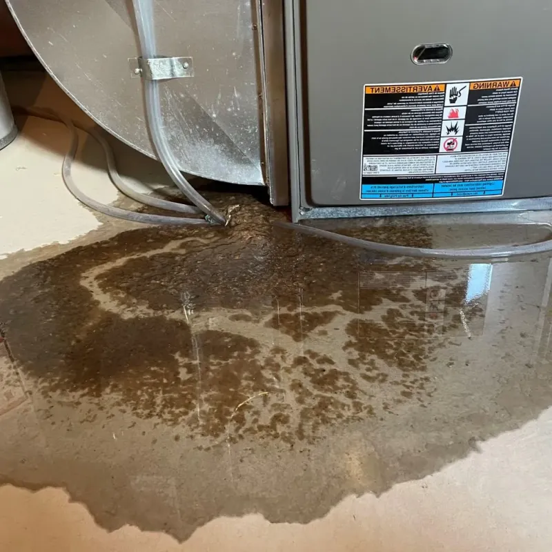 Pipe Burst and Leak Restoration in New Ipswich, NH